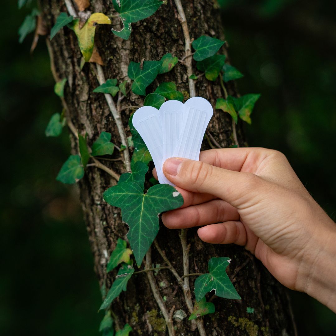 Zen traka za nos (31% POPUSTA)